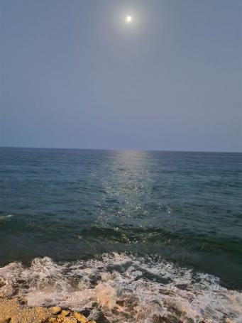 Bild 18