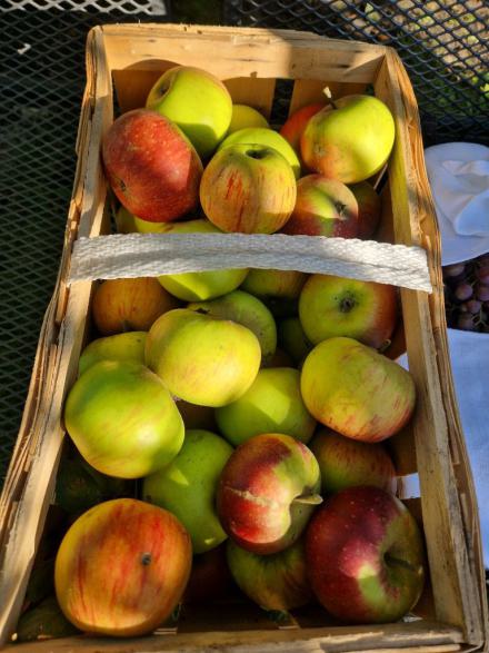 threema-20250907-170353413