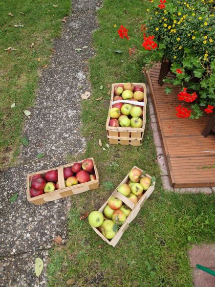 threema-20250910-183601217